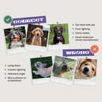 Custom Pet Portrait Photo Frame